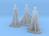 S Scale Long Dress Females 3d printed This is a render not a picture