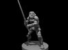 Shifter Lion Folk Great Weapon Fighter 3d printed 