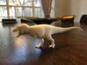 Tyrannosaurus rex Model 1/85 or 1/50 Scale V2 3d printed Small white versatile plastic