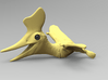 Pteranodon_Chubbie 3d printed 