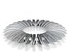 Calatrava Jewellery forms 139 60mm dia pendant 3d printed 