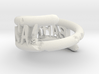 weathered and chipped bahal na! ring 3d printed 