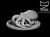 Giant Octopus 3d printed 