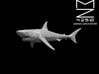 Reef Shark 3d printed 