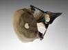 Bird Skull - Macro 3d printed 