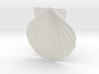 Scallop Shell 3d printed 