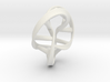 Moebius DNA 3d printed 