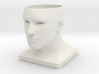 Human Face Planter V2 - H100MM 3d printed 