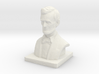 Lincoln Bust TNH 3d printed 