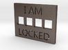 LOCKED 3d printed 