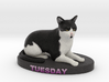Custom Cat Figurine - Tuesday 3d printed 