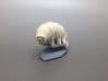 Tardigrade (Water Bear)  3d printed 