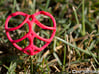 Heart-Shaped Rib-Cage 1.5 Inch 3d printed Coral Red
