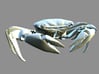 Articulated Crab (Pachygrapsus crassipes) 3d printed Rendering