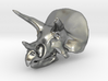Triceratops Skull - Pendant/Key Fob 3d printed 