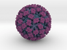 Feline Calicivirus radial colour 4M x mag 3d printed 