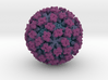 Feline Calicivirus radial colour 2Mx mag 3d printed 