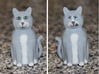 Schrödinger's Cat and Box 3d printed Alive on Front, Dead on the Back