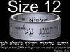 Psalms 37:4 Ring (Size 12) 3d printed  
