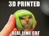 Lime Cat internet meme 3d printed cat meme