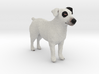 Black & White Jack Russell Terrier 3d printed 