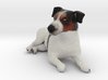 Laying Jack Russell Terrier 2 3d printed 