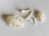 Mini Cat Skull Sculpture 3d printed Mini and Standard model with parts layed out.