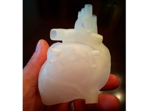 Anatomical Heart in Tan Fine Detail Plastic