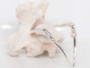 Talon Ring in Polished Silver: 6 / 51.5