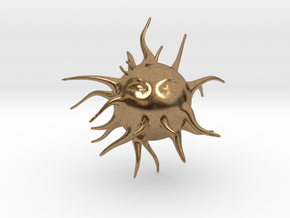 Spiny in Natural Brass