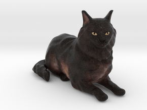 Custom Cat Figurine - Cassiopeia in Full Color Sandstone