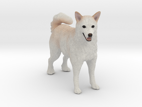 Custom Dog Figurine - Zuma in Full Color Sandstone