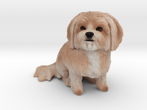 Custom Dog Figurine - Michie in Full Color Sandstone
