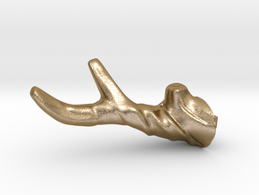 Right_FaunHorn in Polished Gold Steel