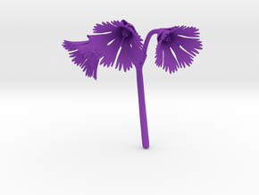 Snowbell (Soldanella) in Purple Processed Versatile Plastic