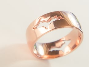 Upper Peninsula Comfort-Fit Ring  in 14k Rose Gold Plated Brass: 11 / 64
