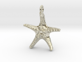 Starfish Pendant 1 - small in 14k White Gold