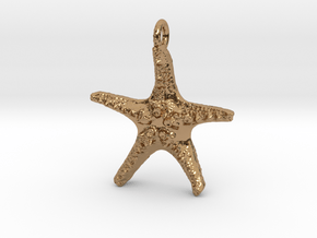 Starfish Pendant 1 - small in Polished Brass