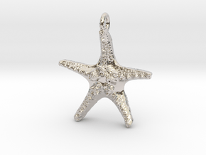Starfish Pendant 1 - small in Rhodium Plated Brass