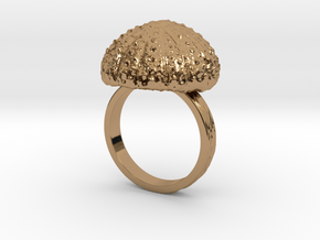 Urchin Statement Ring - US-Size 13 (22.33 mm) in Polished Brass