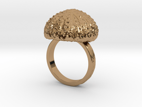 Urchin Statement Ring - US-Size 11 1/2 (21.08 mm) in Polished Brass