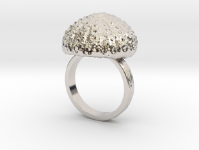 UrchinTop Size12 in Rhodium Plated Brass