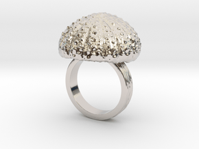 UrchinTop Size8 in Rhodium Plated Brass
