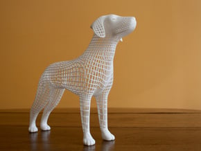 Wireframe dog in White Natural Versatile Plastic