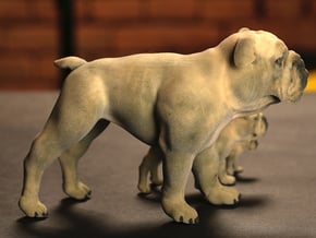 Bulldog XXL Full Color Sandstone - hollow in Full Color Sandstone