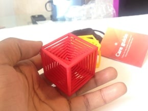 The Cube in Red Processed Versatile Plastic