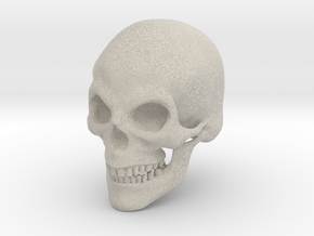 Skull Print in Natural Sandstone