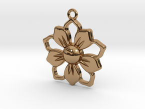 Pendant_01 in Polished Brass
