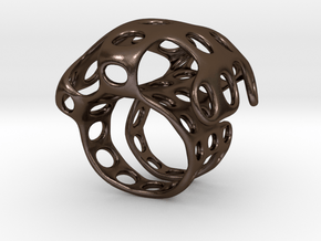 s4r016s7 GenusReticulum  in Polished Bronze Steel