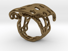 s4r014s6 GenusReticulum  in Polished Bronze